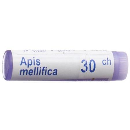 Boiron Apis mellifica Glob C 30 1 dose - PrimeCare Global