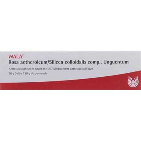 Wala Rosae aetherolum/Silicea colloidalis ointment comp. Tb 30 g - PrimeCare Global