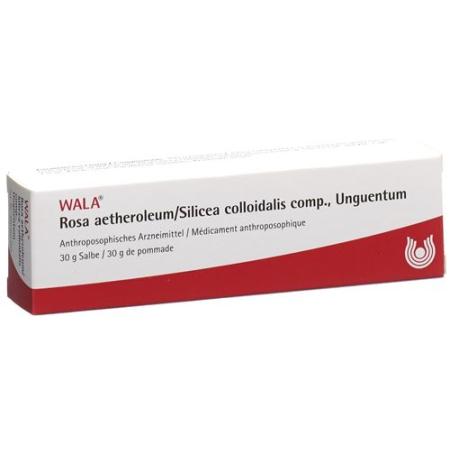 Wala Rosae aetherolum/Silicea colloidalis ointment comp. Tb 30 g - PrimeCare Global