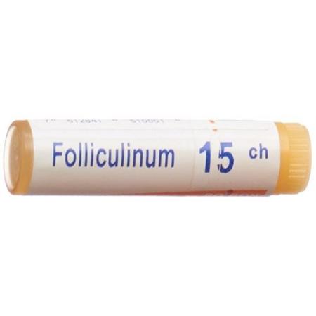 Boiron Folliculinum Glob 15C 1 dose - PrimeCare Global