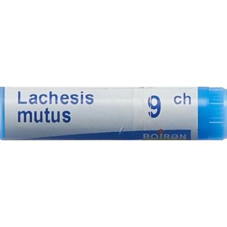Boiron Lachesis mutus Glob 9C 1 dose - PrimeCare Global