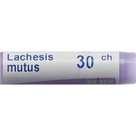 Boiron Lachesis mutus Glob 30C 1 dose - PrimeCare Global