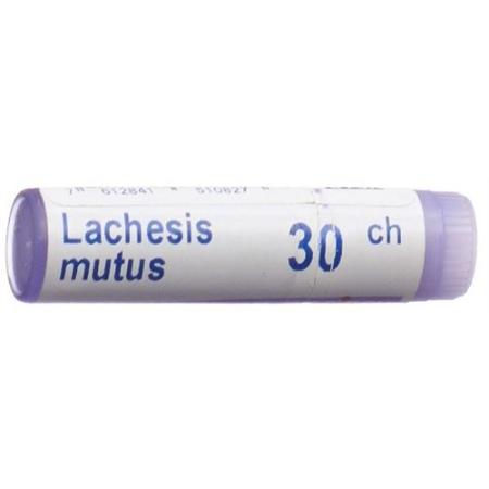 Boiron Lachesis mutus Glob 30C 1 dose - PrimeCare Global