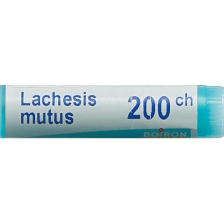Boiron Lachesis mutus Glob 200C 1 dose - PrimeCare Global