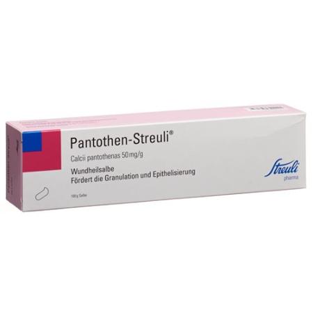 PANTOTHEN STREULI OINTMENT TB 100 G - PrimeCare Global