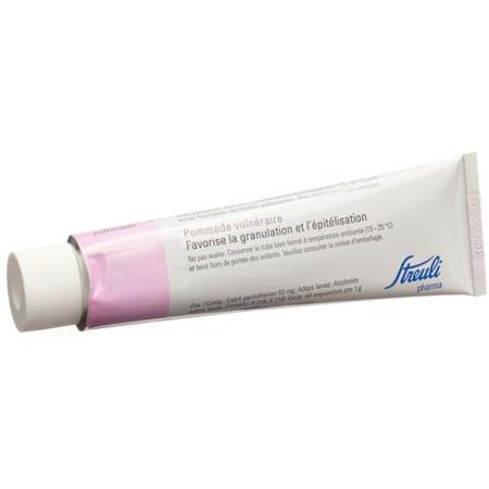 PANTOTHEN STREULI OINTMENT TB 100 G - PrimeCare Global