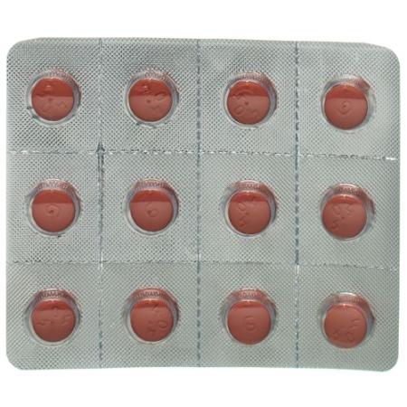 Atovaquone Plus Spirig HC Filmtablet 250/100mg 24 pcs - PrimeCare Global