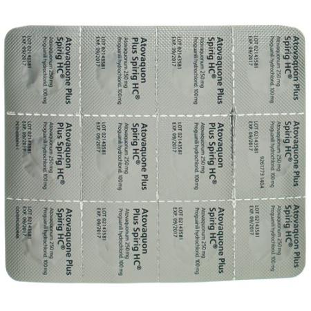 Atovaquone Plus Spirig HC Filmtablet 250/100mg 24 pcs - PrimeCare Global