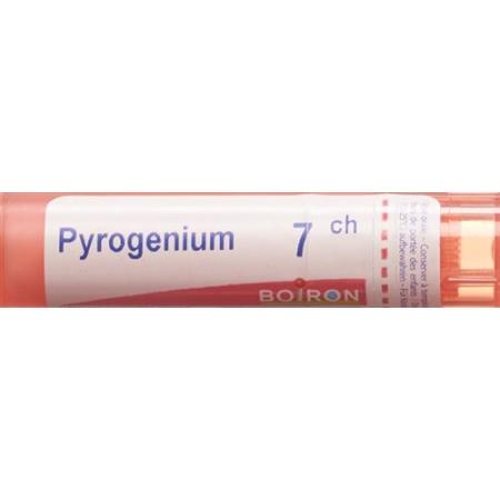 Boiron Pyrogenium Gran C7 4g - PrimeCare Global