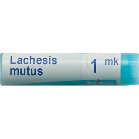 Boiron Lachesis mutus Glob MK 1 Dos - PrimeCare Global
