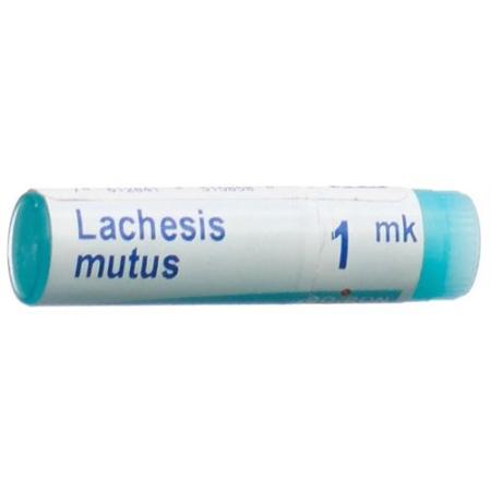 Boiron Lachesis mutus Glob MK 1 Dos - PrimeCare Global