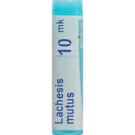 Boiron Lachesis mutus Glob XMK 1 dose - PrimeCare Global