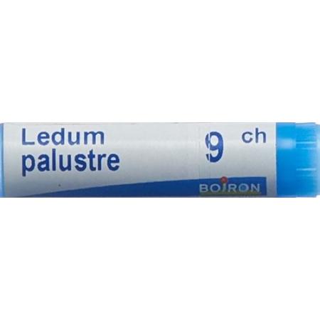 Boiron Ledum palustre Glob 9C 1 dose - PrimeCare Global