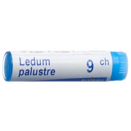 Boiron Ledum palustre Glob 9C 1 dose - PrimeCare Global