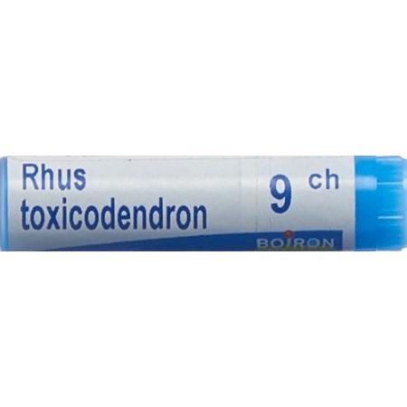 Boiron Rhus toxicodendron Glob 9C 1 dose - PrimeCare Global
