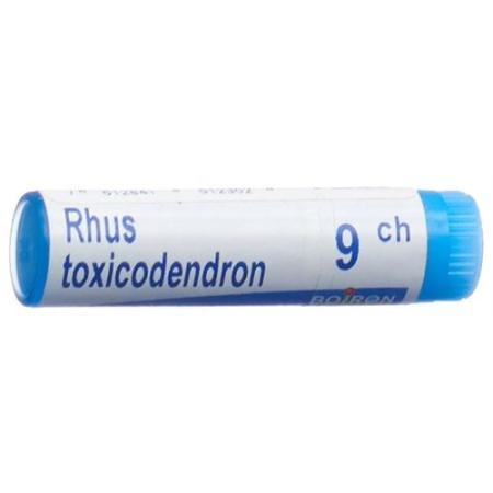 Boiron Rhus toxicodendron Glob 9C 1 dose - PrimeCare Global