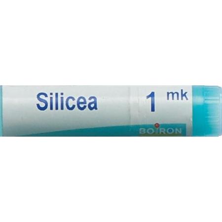 Boiron Silicea Glob MK 1 Dos - PrimeCare Global