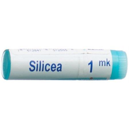 Boiron Silicea Glob MK 1 Dos - PrimeCare Global