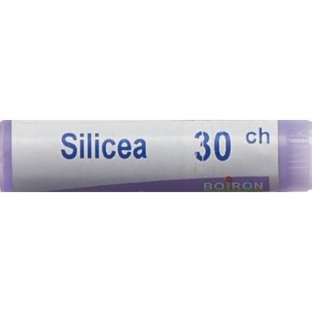 Boiron Silicea Glob C 30 1 dose - PrimeCare Global