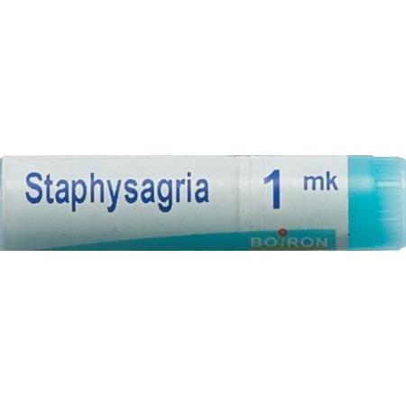 Boiron Staphysagria Glob MK 1 Dos - PrimeCare Global