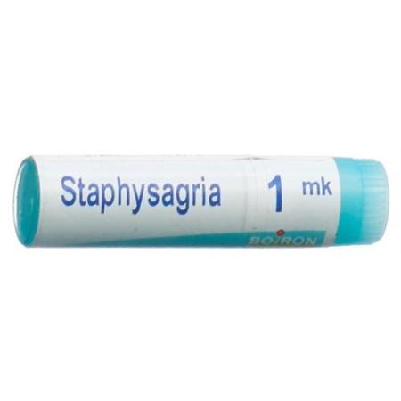 Boiron Staphysagria Glob MK 1 Dos - PrimeCare Global