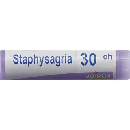 Boiron Staphysagria Glob 30C 1 dose - PrimeCare Global