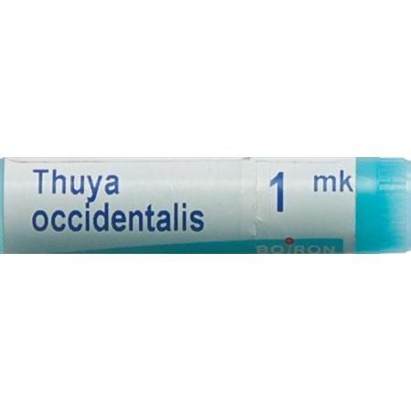 Boiron Thuya occidentalis Glob MK 1 Dos - PrimeCare Global