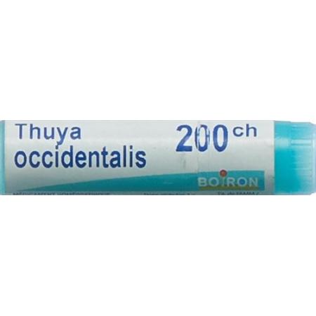 Boiron Thuya occidentalis Glob C 200 1 dose - PrimeCare Global