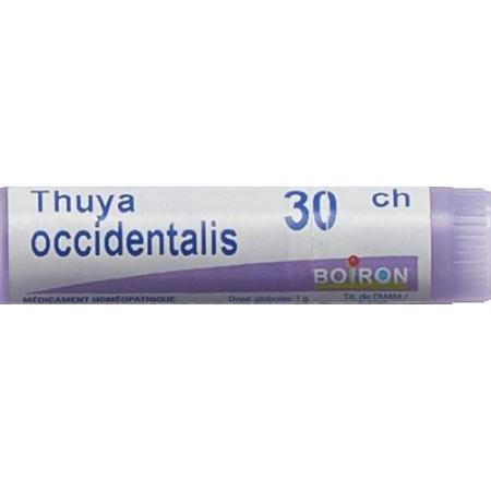 Boiron Thuya occidentalis Glob C 30 1 dose - PrimeCare Global