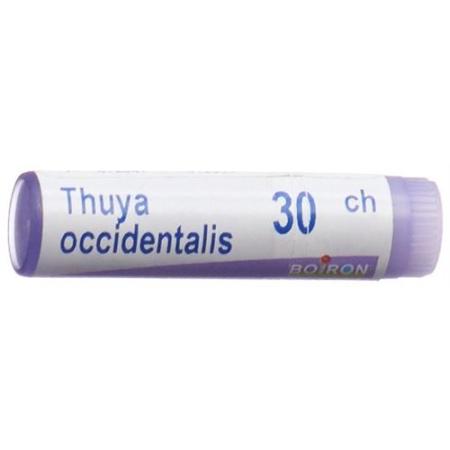 Boiron Thuya occidentalis Glob C 30 1 dose - PrimeCare Global