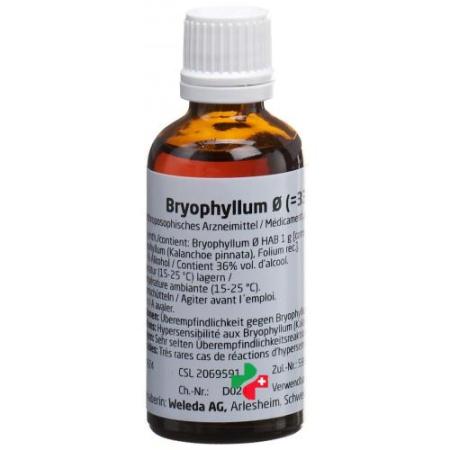 Weleda Bryophyllum Dil &oslash; 33% 50 ml - PrimeCare Global