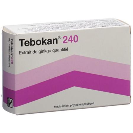 Tebokan film tabl 240 mg 90 pcs - PrimeCare Global