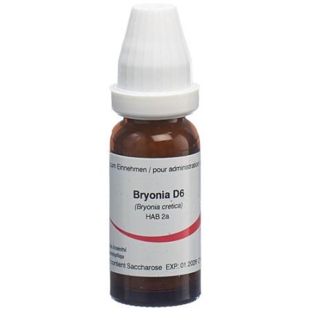 Omida Bryonia Glob D 6 14g - PrimeCare Global