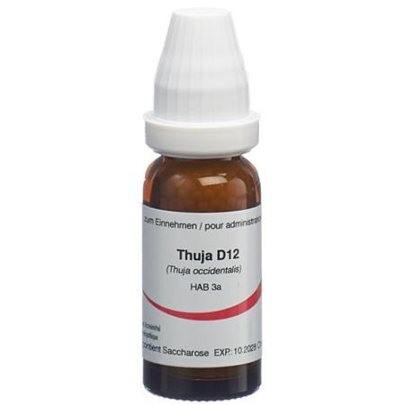 Omida Thuja Glob D 12 14 g - PrimeCare Global