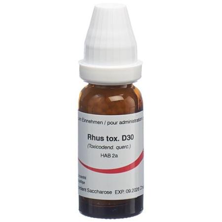 Omida Rhus toxicodendron Glob D 30 14 g - PrimeCare Global