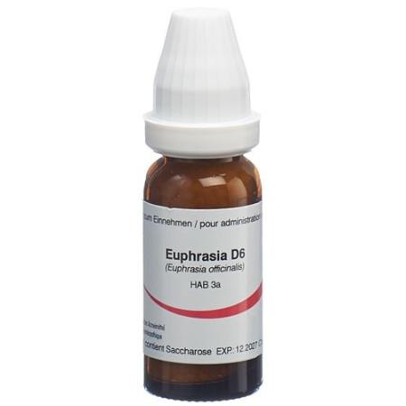 Omida Euphrasia Glob D 6 14g - PrimeCare Global