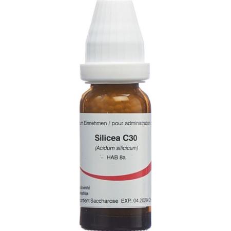 Omida Silicea Glob C 30 14g - PrimeCare Global
