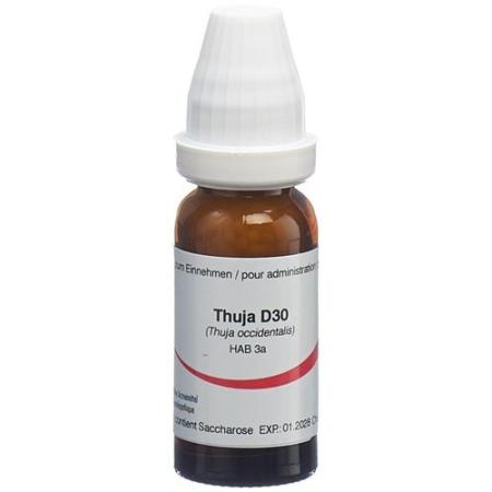 Omida Thuja Glob D 30 14 g - PrimeCare Global