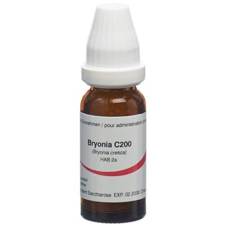 Omida Bryonia Glob C 200 14g - PrimeCare Global