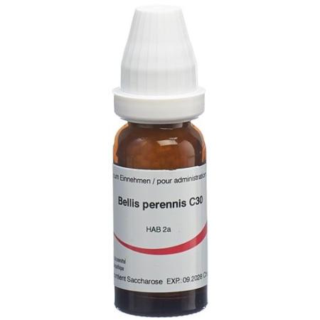 Omida Bellis perennis Glob C 30 14 g - PrimeCare Global