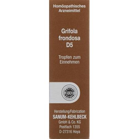 Sanum Grifola frondosa drops D 5 10 ml - PrimeCare Global