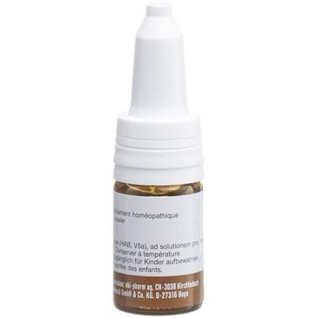 Sanum Grifola frondosa drops D 5 10 ml - PrimeCare Global