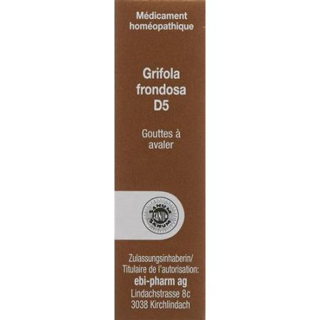Sanum Grifola frondosa drops D 5 10 ml - PrimeCare Global