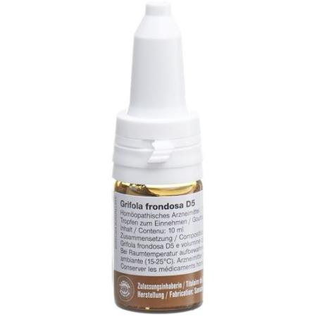 Sanum Grifola frondosa drops D 5 10 ml - PrimeCare Global
