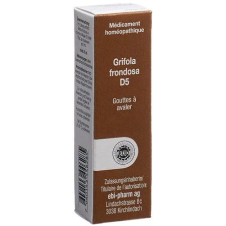 Sanum Grifola frondosa drops D 5 10 ml - PrimeCare Global