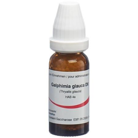 Omida Galphimia glauca Glob D 6 14 g - PrimeCare Global