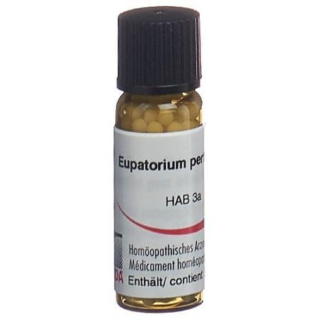 Omida Eupatorium perfoliatum Glob C 30 14 g - PrimeCare Global