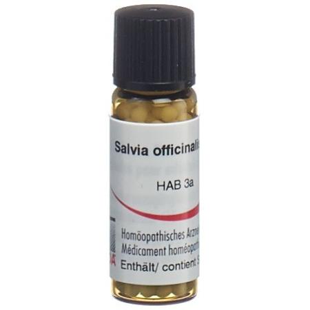 Omida Salvia officinalis Glob C 30 14 g - PrimeCare Global