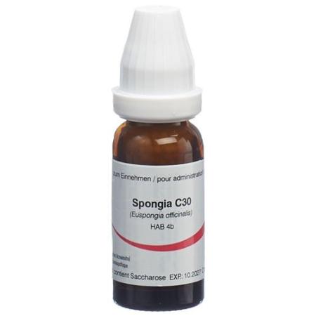 Omida Spongia Glob C 30 14g - PrimeCare Global