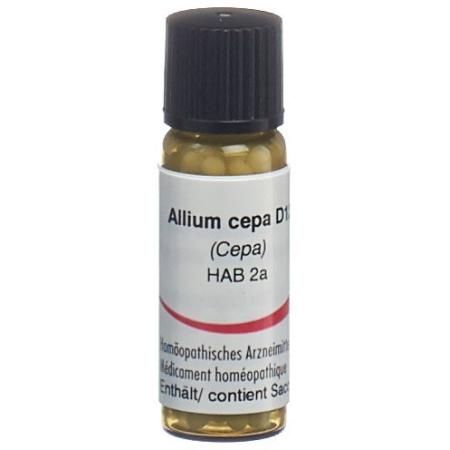 Omida Allium cepa Glob D 12 14 g - PrimeCare Global